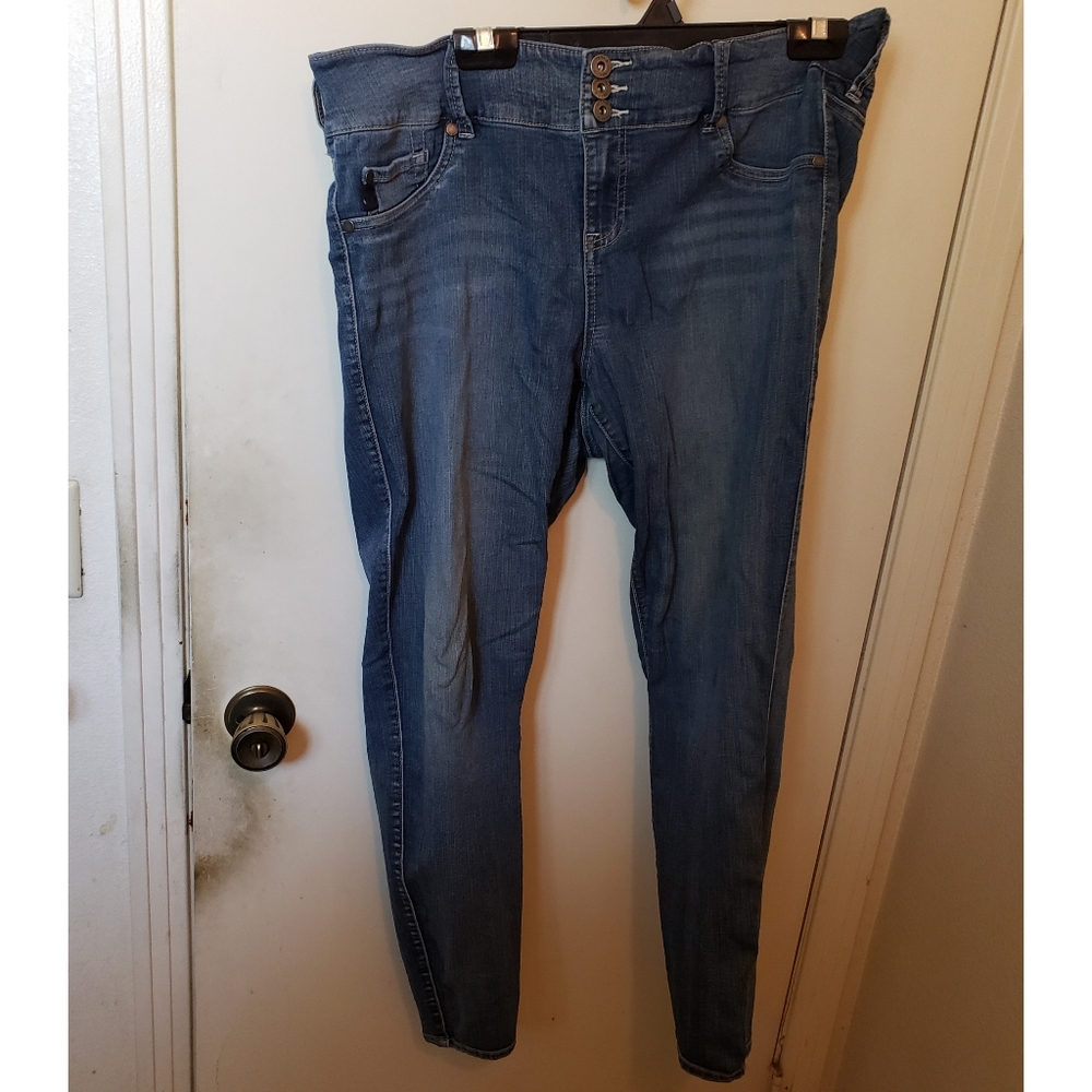 Plus-Size High-Waisted Skinny Jeans